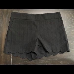 NWT Ann Talylor Loft The Rivera Short